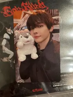 &team タワレコ 月狼 ラキドロ ニコラス Nicholas