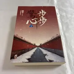歩歩驚心 花萌ゆる皇子たち 上下巻 セット 歩歩驚心(ホホキョウシン) ~花萌ゆる皇子たち~ (下) | 桐華(トン