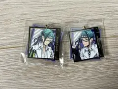 Disney ツイステ リーチ兄弟 実験服 アクキーセット フロイド ジェイド