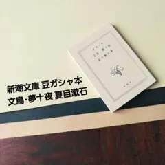 Item thumbnail for item 637bc79c-d482-4a53-aa76-36f6bc063c41