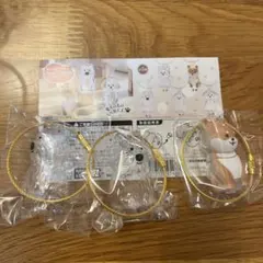 わんこのタイムカプセル　カプセルトイ 3個セット 犬