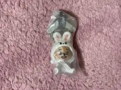 SKZOO つまんでつなげてますこっとvol.2 ガチャ HAN QUOKKA