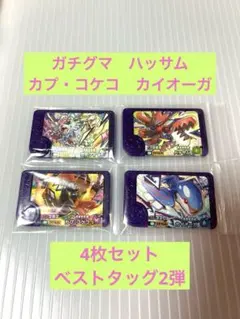 ポケモンフレンダ カイオーガ カプ・コケコ ガチグマ ハッサム ベストタッグ2弾