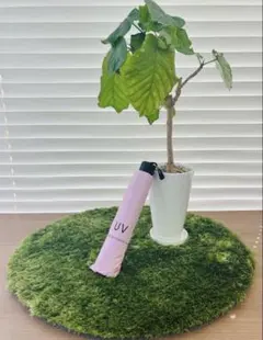 軽量コンパクト遮光 紫外線対策 晴雨兼用 折りたたみ 日傘 UVカット