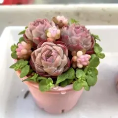 こゆき◡̈*❤︎様 リクエスト 2点 まとめ商品