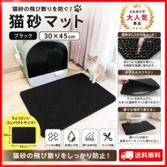 猫砂マット 30×45cm ブラック 飛び散り防止 ハニカム構造 水洗いOKのサムネイル