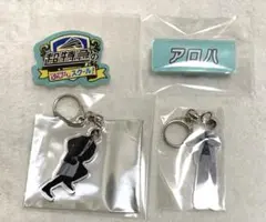 超特急 アロハ アクキー グッズ セット