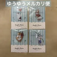 mofusand モフサンド アクリルチャーム 4個セット ファミマ