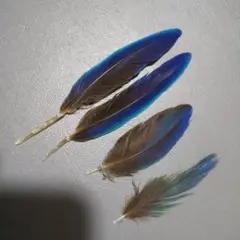 すばる☆交渉大歓迎様 専用