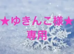 ★ゆきんこ様★専用