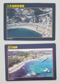 猫好き様 リクエスト 2点 まとめ商品