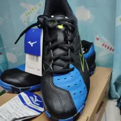 新品未使用MIZUNO BRAVE WING 3 スパイク JP25.5 黒 新品未使用MIZUNO BRAVE WING 3 スパイク JP25.5 黒 - メルカリ