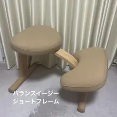 2026年最新】バランスチェアイージーショートフレームの人気アイテム