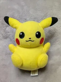 ポケモンセンター 愛知万博ポケパーク　ポケモンドール　ピカチュウ ぬいぐるみ ポケモンセンター 愛知万博ポケパーク ポケモンドール ピカチュウ