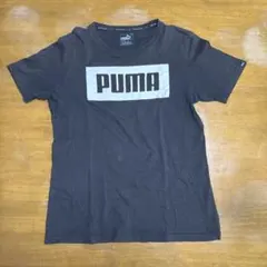PUMA ロゴ Tシャツ