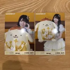 ≒JOY 大信田美月 ポムポムプリンコラボ コンプ - メルカリ