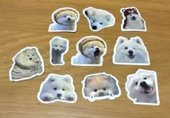 Item thumbnail for item 1717ebd0-e004-4cc8-8c1a-ab6ab26308b5