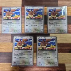 ポケモンカード プロモ　イーブイ 5枚セット