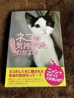 Item thumbnail for item 34ff9acd-72b3-4a17-baf4-8ae203c25d2c