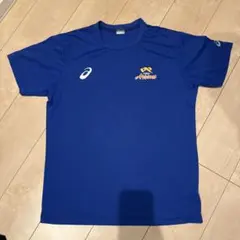 2026年最新】東レアローズtシャツの人気アイテム - メルカリ