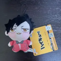 ハイキュー　ちょぴぬいぷち　黒尾鉄朗