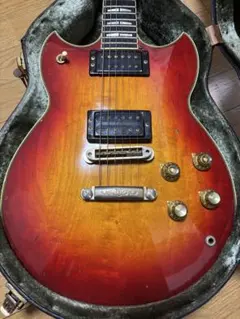 2025年最新】yamaha sg ピックガードの人気アイテム - メルカリ