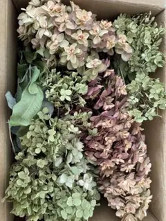 ドライフラワー花材セット