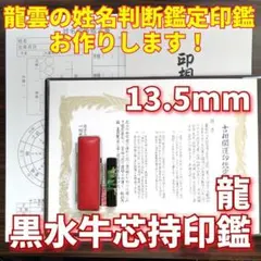 芯持黒水牛印鑑セット 15mm 蒔絵(龍) 印鑑ケース・印鑑箱付き - メルカリ