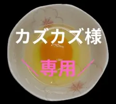 ネラ　烏骨鶏　ゆめちゃん食品のサムネイル