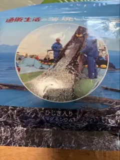 通販生活のひじき入り薄焼きいわしのサムネイル
