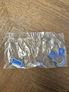 TWICE ツゥイ　TZUYU カラビラ　ガチャガチャ