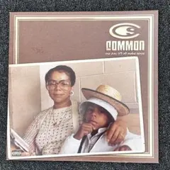 Common One Day It'll All Make Sense 2LP