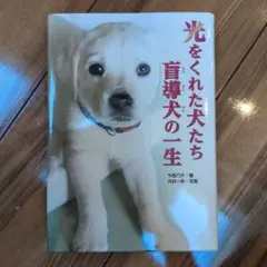 Item thumbnail for item 40a41c6f-32d2-413d-a94b-899a3b6886ce