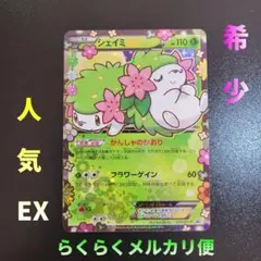シェイミEX ポケキュン シェイミEX：プレミアムポケキュン♥セット PROMO XYシリーズ