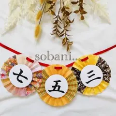 Item thumbnail for item 6190e91b-fcfb-4dbc-aa99-951f67b60904