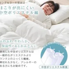 中空ポリエステル綿 4点セット