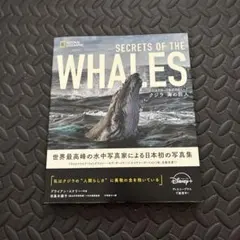 Item thumbnail for item 39d227f9-9f5c-4de0-85fe-6bf71b3f8bc3