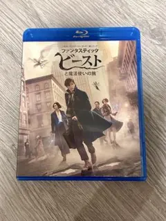 【DVD②枚購入で割引】ファンタスティック・ビーストと魔法使いの旅