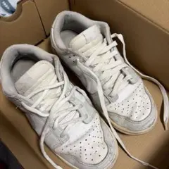 Item thumbnail for item cfe649bf-89d1-4a4e-bd73-6914cebea367