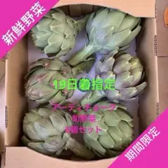 終了間近！大サイズアーティチョーク4つ 無農薬無化学肥料栽培 - メルカリ
