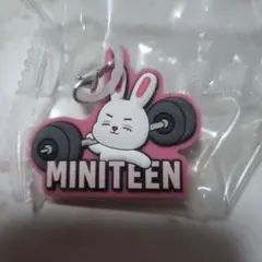 ミニティーン めじるしチャーム エスクプス