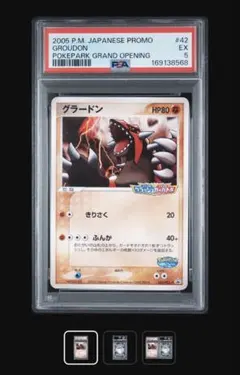 ポケモンカード ポケパーク グラードン 042/PCG-P プロモ 未開封