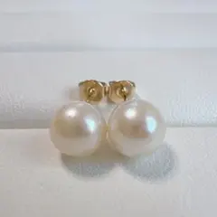 1460 お買い得◎ あこや真珠ピアス 本真珠 アコヤ真珠 パール 結婚式