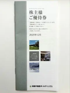 東急不動産ホールディングス株主優待 500株以上1000株未満