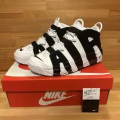 Item thumbnail for item 89a86da0-039a-4d3e-a48e-6fdf61106ec8