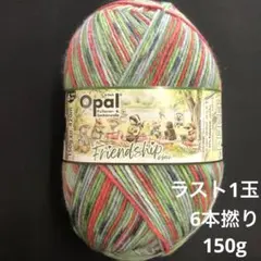 NEW オパール毛糸　フレンドシップ　6本撚り　11561 ラスト1玉