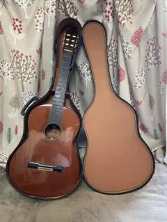 2026年最新】MORRIS B 12弦の人気アイテム - メルカリ