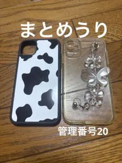 Item thumbnail for item 660513b8-0c37-421a-8afe-57b0e60b62f0