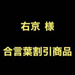 希少【傑作】女教師シリーズ 鷹羽真 入手困難 高評価5点 (5点満点中 