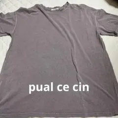 ピュアルセシン　ピグメントTシャツのサムネイル